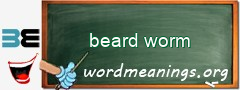 WordMeaning blackboard for beard worm